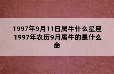 1997年9月11日属牛什么星座 1997年农历9月属牛的是什么命